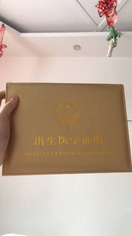 journal_insert_pic_1212696735