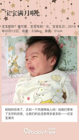 journal_insert_pic_1212355002
