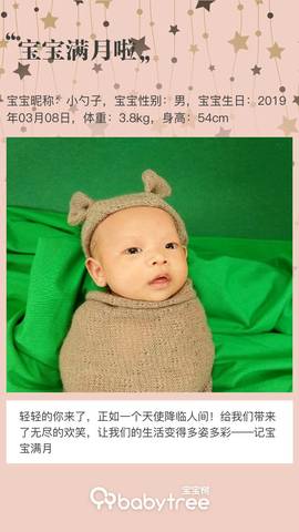 journal_insert_pic_1212824241