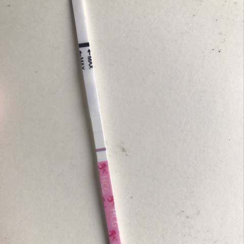 journal_insert_pic_1213396972
