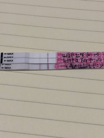 journal_insert_pic_1213860864