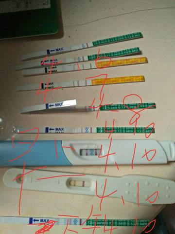 journal_insert_pic_1214058689