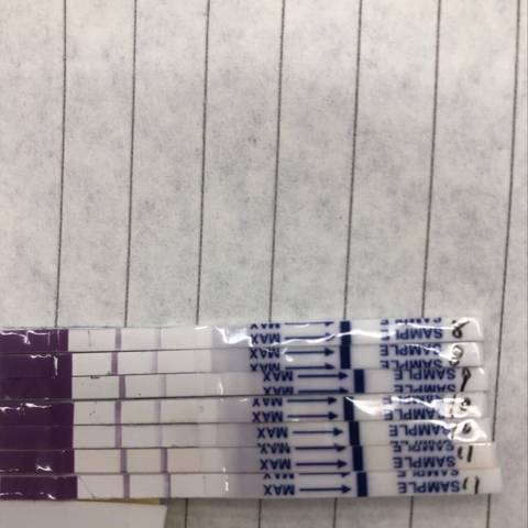 journal_insert_pic_1214756005