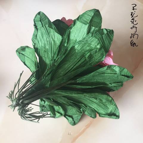 journal_insert_pic_1215202674