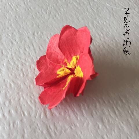 journal_insert_pic_1215202641