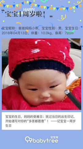 journal_insert_pic_1215977556