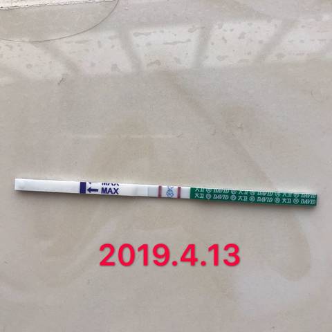 journal_insert_pic_1215624930