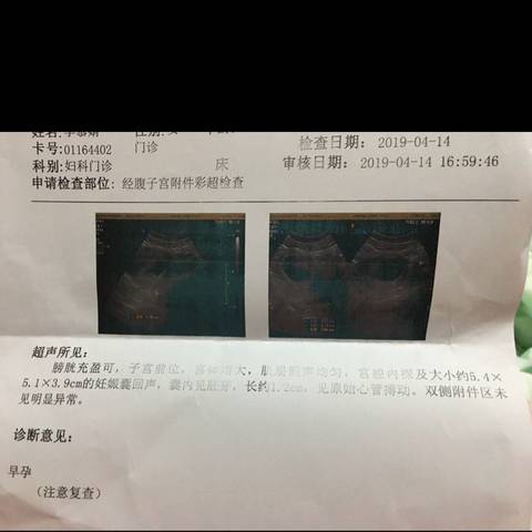 journal_insert_pic_1216710844
