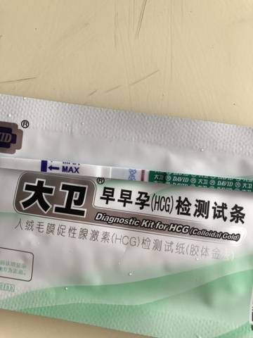 journal_insert_pic_1218728093