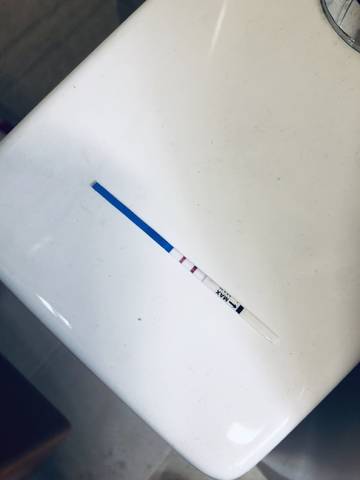 journal_insert_pic_1218832923