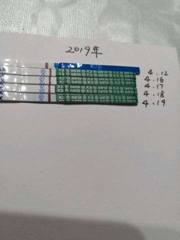 journal_insert_pic_1219386719