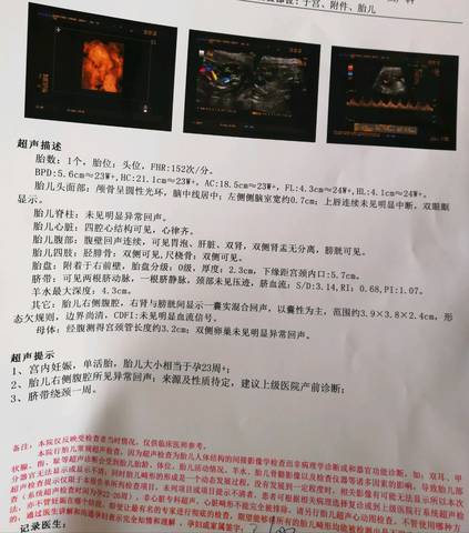 journal_insert_pic_1220994899