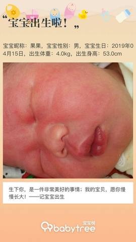 journal_insert_pic_1220873769