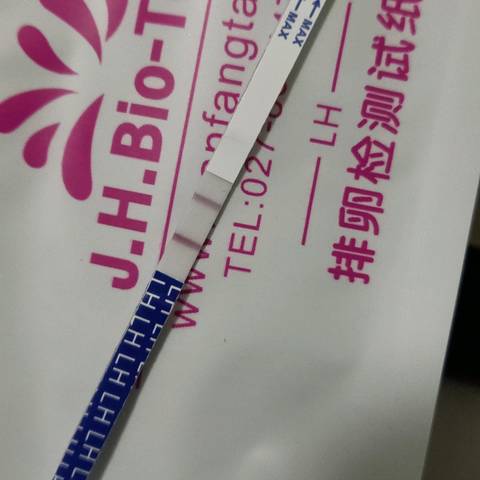 journal_insert_pic_1221646433