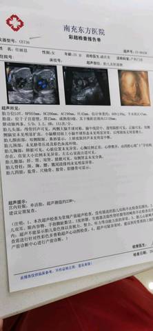journal_insert_pic_1221702363