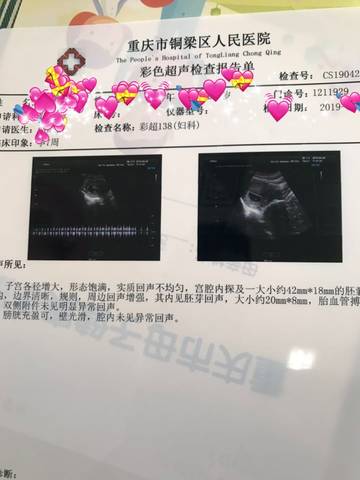 journal_insert_pic_1222747298