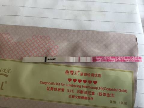 journal_insert_pic_1223481278
