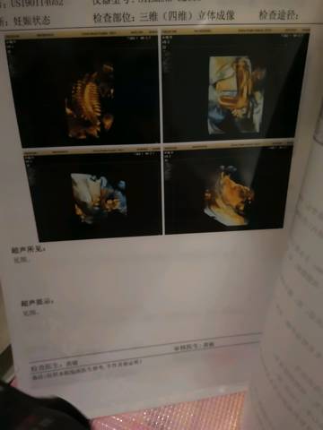 journal_insert_pic_1223512179