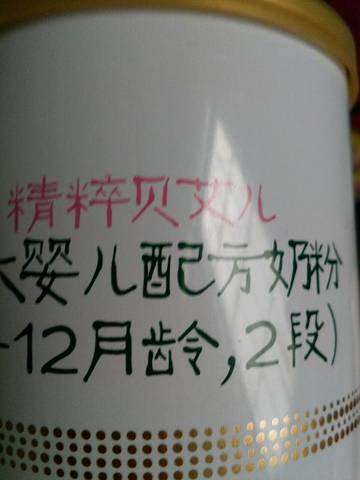 journal_insert_pic_1223319225