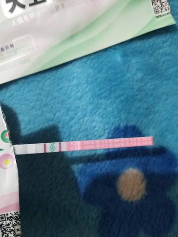 journal_insert_pic_1224068275