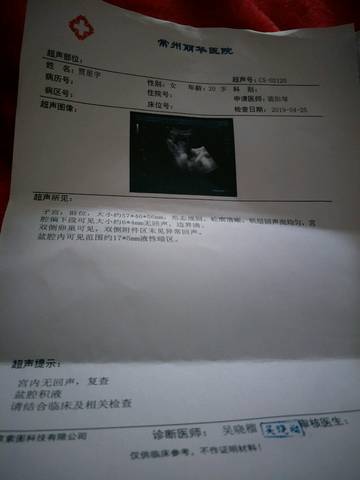 journal_insert_pic_1223729268