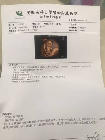 journal_insert_pic_1223895461