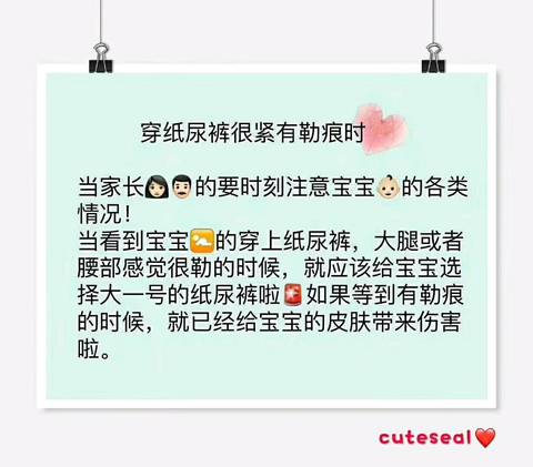 journal_insert_pic_1223692984