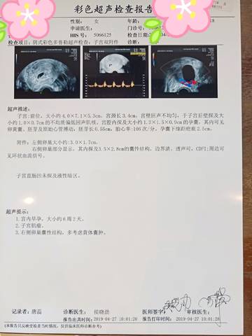 journal_insert_pic_1224475606