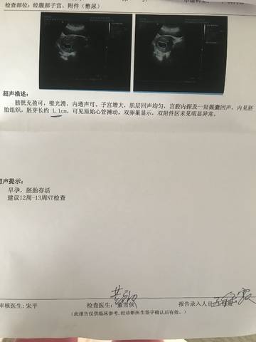 journal_insert_pic_1224414249