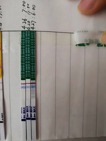 journal_insert_pic_1224345739