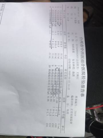 journal_insert_pic_1225541503