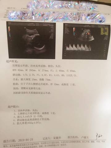 journal_insert_pic_1225227671