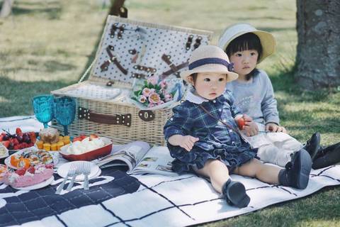 journal_insert_pic_1225326838