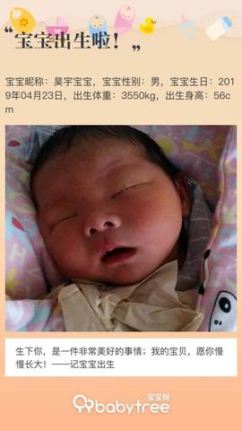 journal_insert_pic_1225084076