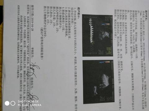 journal_insert_pic_1225314201