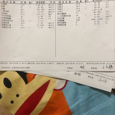 journal_insert_pic_1226132797