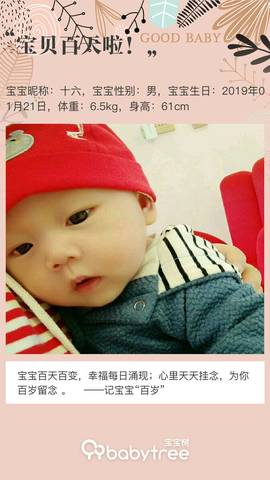 journal_insert_pic_1226721846