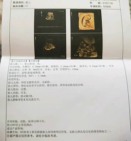 journal_insert_pic_1226319443