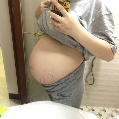 journal_insert_pic_1226483458