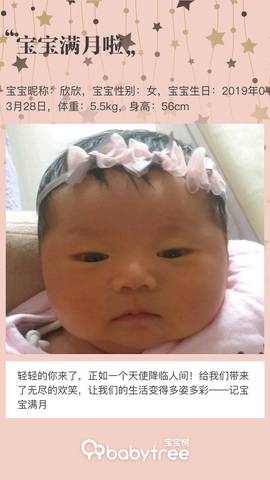 journal_insert_pic_1227040616