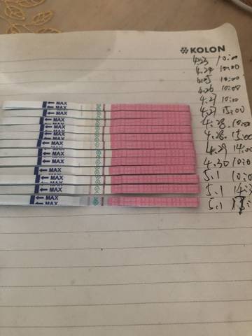 journal_insert_pic_1226989197