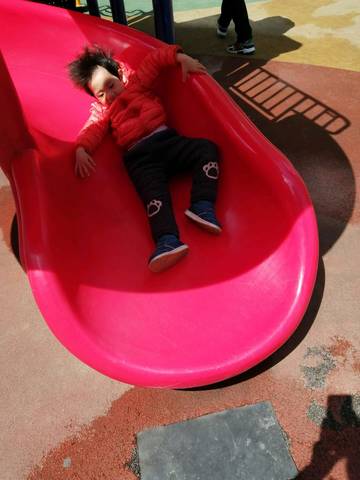journal_insert_pic_1227577031