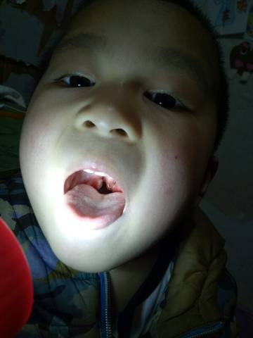 journal_insert_pic_1227449556