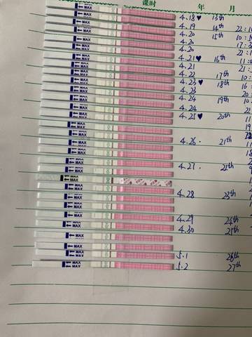 journal_insert_pic_1227795592