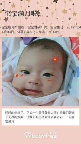 journal_insert_pic_1227502988