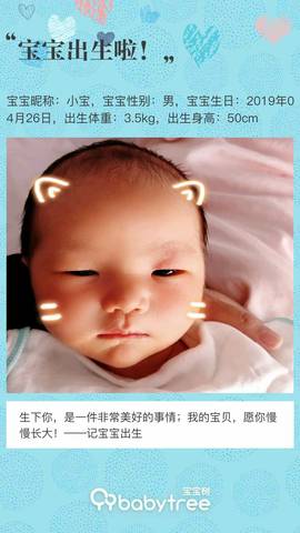journal_insert_pic_1227978421