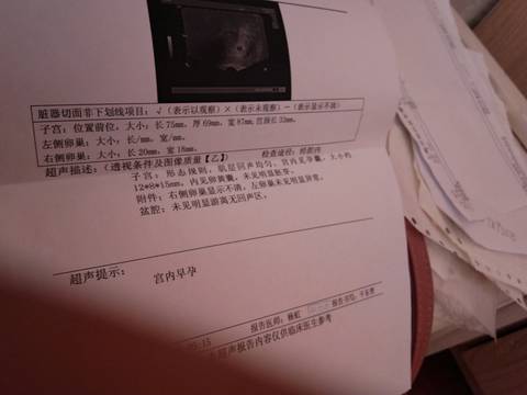 journal_insert_pic_1228134382