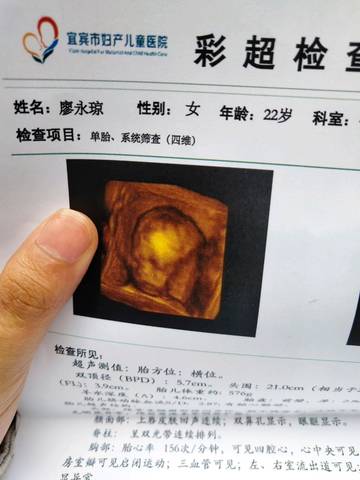 journal_insert_pic_1228181817