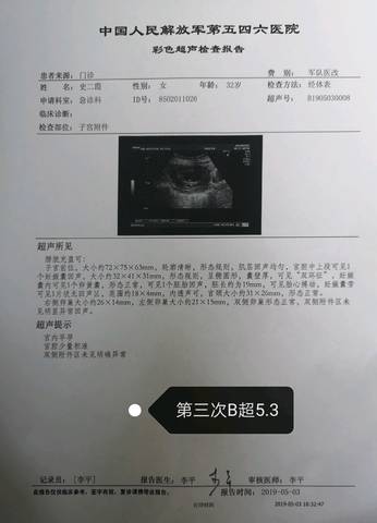 journal_insert_pic_1228610784