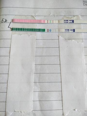 journal_insert_pic_1228846067